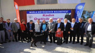 Muğla Büyükşehir Belediyesinden Yatağana Kıl Keçisi desteği