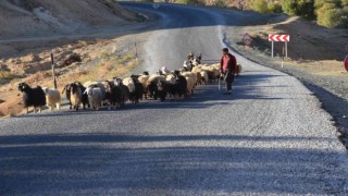 Muştaki göçerler sıcak bölgelere göç etmeye başladı