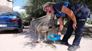 Mutta sokak hayvanlarına mama dağıtıldı