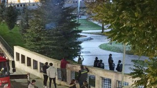 Ne döner ne kedi sesi ağaçtan indiremedi