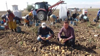 Niğdede patates hasadı başladı