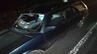 Orduda otomobilin çarptığı yaya hayatını kaybetti