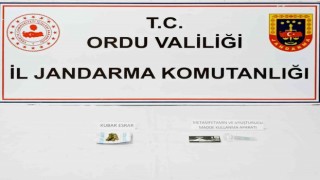 Orduda uyuşturucu operasyonunda 1 kişi tutuklandı