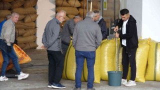 Ordulu üreticiler TMOnun fındık alımından memnun