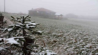 Orduya mevsimin ilk karı yağdı