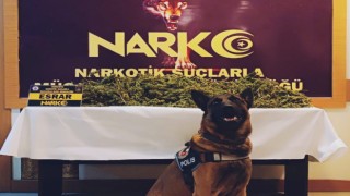 Osmaniyede uyuşturucu operasyonlarında 6 tutuklama