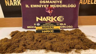 Osmaniyede uyuşturucu operasyonlarında 9 tutuklama