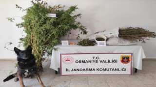 Osmaniyede uyuşturucu operasyonu