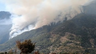 Osmaniyedeki orman yangını 3ncü gününde büyüyerek devam ediyor