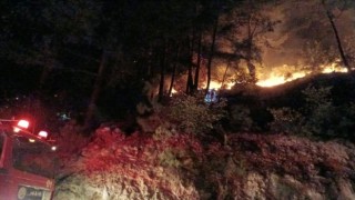 Osmaniyedeki orman yangını kontrol altına alındı