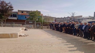 Özalpte 19 Ekim Muhtarlar Günü kutlandı