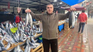 Palamut hem vatandaşı hem esnafı memnun etti