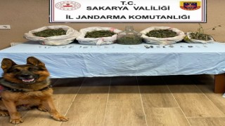 Sakaryada 5 kilo esrar ele geçirildi: 1 gözaltı