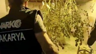Sakaryada uyuşturucuya geçit yok: 121 şüpheli yakalandı