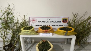 Samsunda 25 kilo 750 gram kubar esrar ele geçirildi