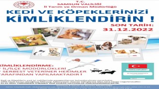 Samsunda 7 bin 277 evcil hayvan mikroçip uygulanarak kayıt altına alındı