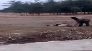 Şanlıurfada dehşete düşüren görüntü