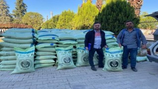 Sarıgölde çiftçilere buğday tohumu desteği