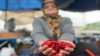 Şifa deposu tezgahtaki yerini aldı