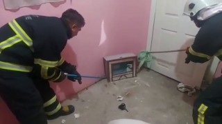 Siirtte eve giren yılanı itfaiye ekipleri çıkardı