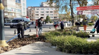 Sinop meydanında peyzaj çalışmaları sürüyor