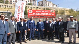 Şırnaklı besicilere koyun desteği