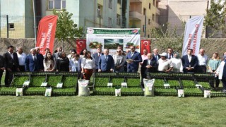 Şırnakta seralara kadın eli değdi