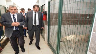 Siverek Hayvan Rehabilitasyon Merkezinde inceleme