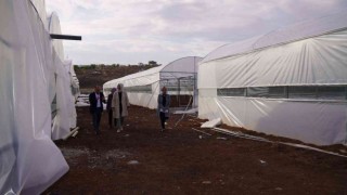 Siverekten mevsimlik göç seralarla önlenecek