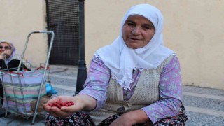 Sonbaharın kırmızısı şifa kaynağı kızılcık, pazar tezgahlarında