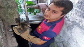 Su kuyusuna düşen kediyi itfaiye kurtardı