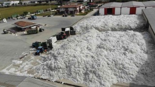 TARİŞe rağbet arttı, depolar 10 bin 200 ton pamukla doldu