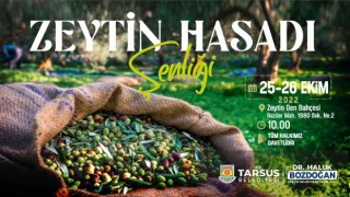 Tarsus Zeytin Hasat Şenliği yarın başlıyor