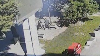 Tartışma sonunda yanında oturan kişiyi bıçakladı
