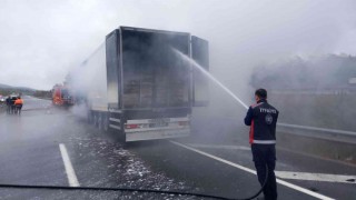 Tavuk yüklü tır alev alev yandı