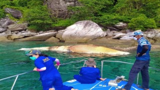 Taylandda ölü balina kıyıya vurdu