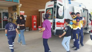 Teneffüsteki 15 öğrenciyi arılar soktu, okula 1 gün ara verildi