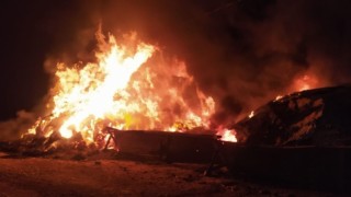 Tercanda 2 bin 700 bağ ot yandı