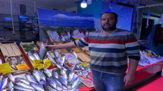 Tezgâhlarda balık çeşitliliği ve bolluğu artıyor