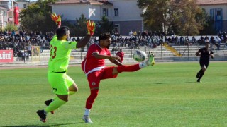 TFF 3. Lig: Karaman FK: 2 - Ayvalıkgücü: 3