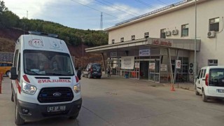 Tuncelide arıların soktuğu adam hayatını kaybetti