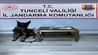 Tuncelide uyuşturucu operasyonu