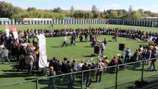 Türk çoban köpeği ırkları, podyuma çıktı