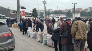 Türkiyenin dört bir yanından Alaplı Kuzusu almak için ilçeye akın ettiler