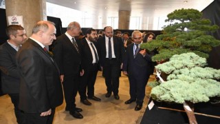 Türkiyenin ilk Ulusal Bonsai Sergisi Yalovada açıldı