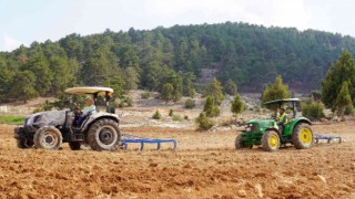 Ücretsiz tohum ve ekimle Toroslarda boş tarlalar üretime katılıyor