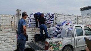 Üreticilere 31 ton tohum desteği verildi