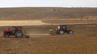 Uygulama tarlalarında hububat ekimi yapılıyor