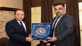 Uyuşturucu ile mücadelede üniversitelerde ortak iş birliği yapılacak