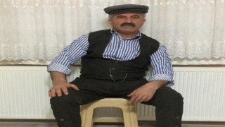 Üzerine ağaç devrilen orman işçisi hayatını kaybetti